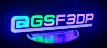 GSF3DP